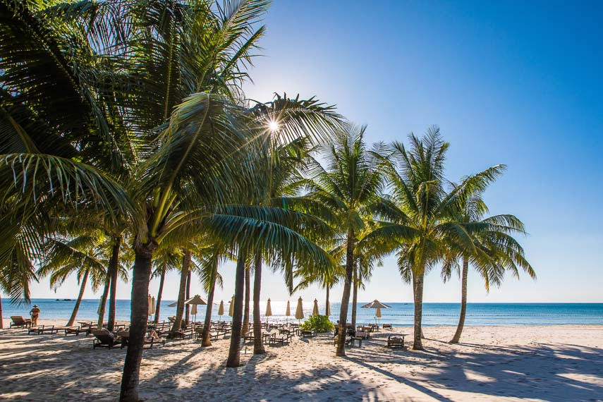 푸꾸옥 당일치기 여행에서 볼 수 있는 열대 야자수 해변과 맑은 하늘, 고요한 바다 옆에 놓인 선베드가 이어진 휴양지 풍경.