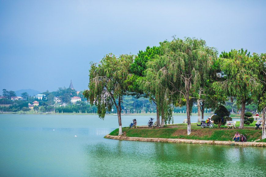 푸른 물결의 호수와 그 가장자리에 줄지어 선 큰 나무들. 나무 그늘 아래에는 몇몇 사람들이 앉거나 오토바이 옆에 서 있습니다. 멀리 언덕에는 마을 건물이 보입니다. (베트남 달랏의 호수 주변 경치)